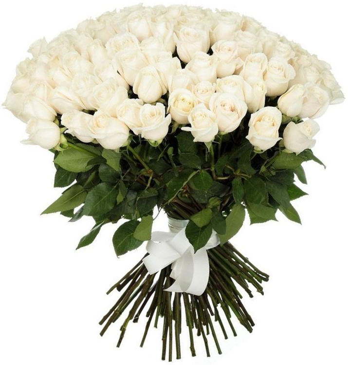 Baltas sapnas (51 arba 101 rožė) 1