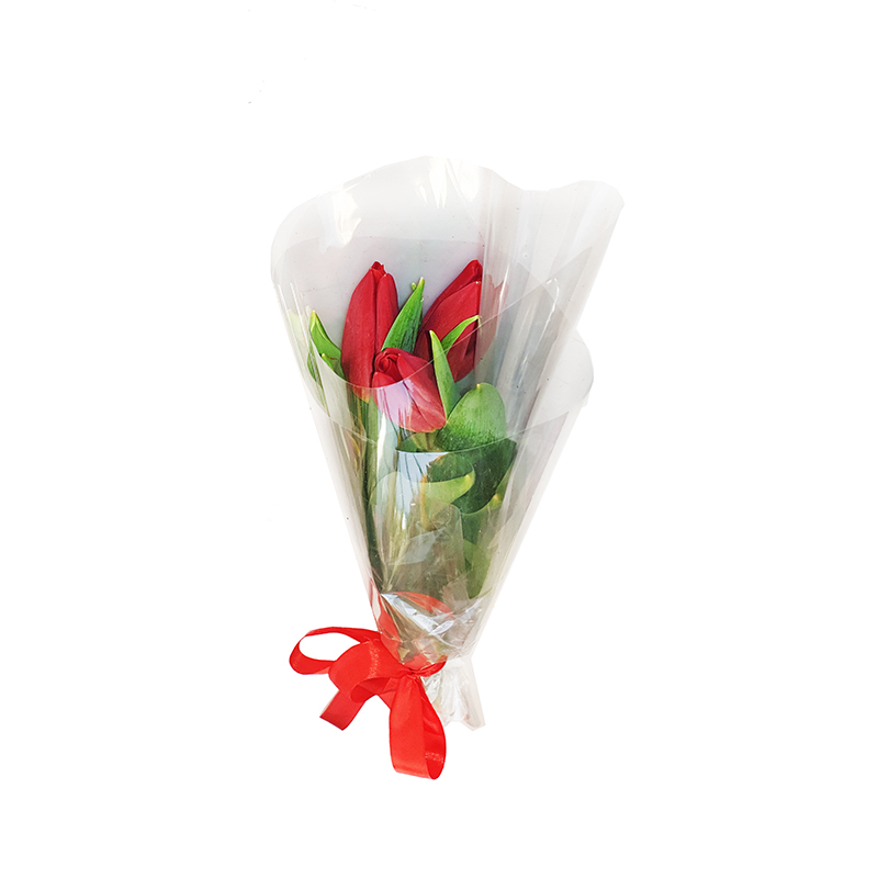 5 raudonos tulpės celofane 1