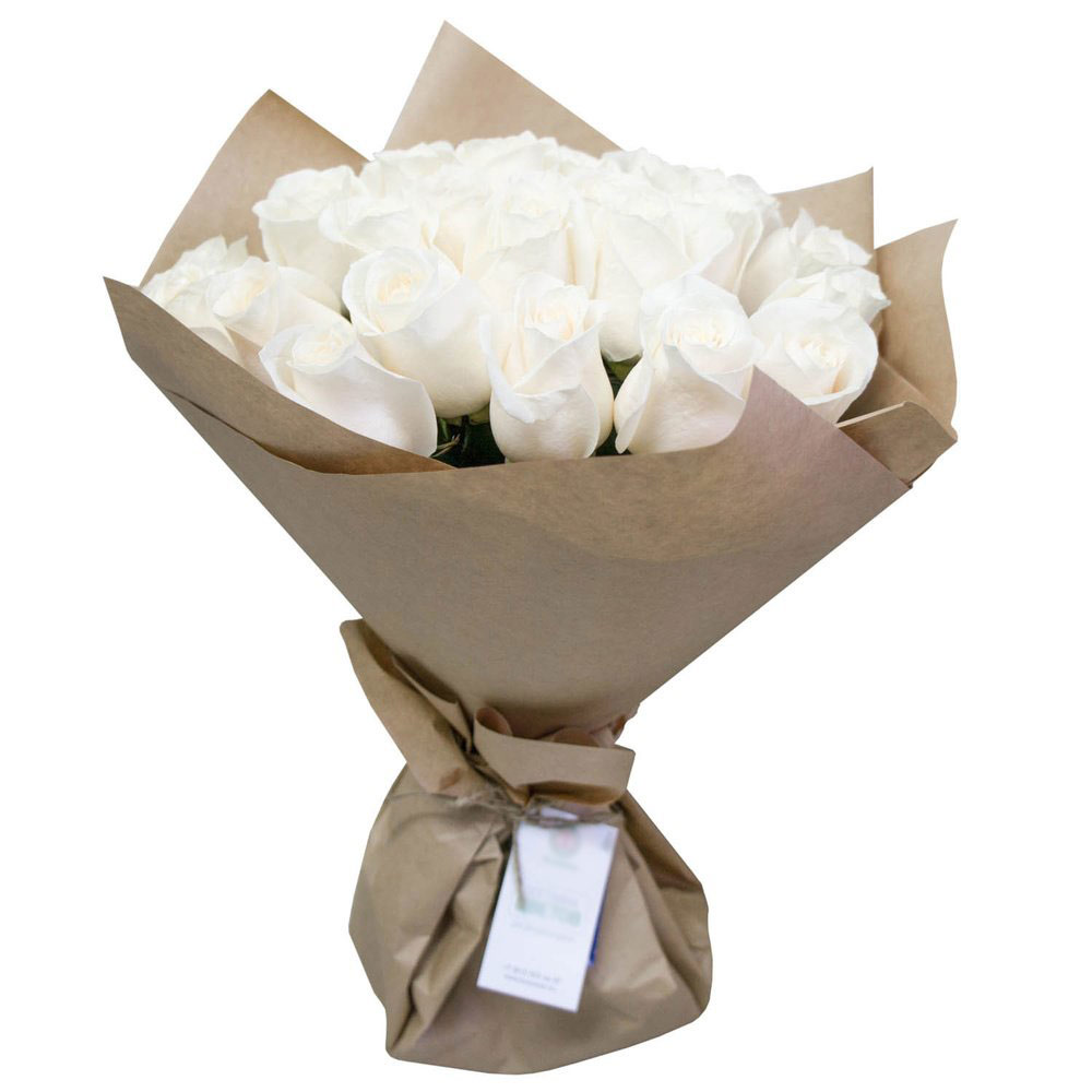 Baltos rožės popieriuje 1