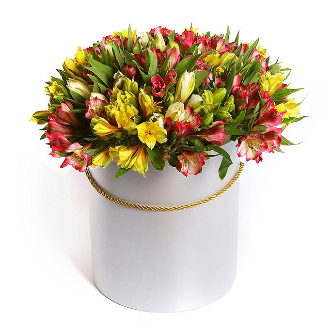 Gėlių dėžutė Alma (Įvairių spalvų Alstromerijos) 1