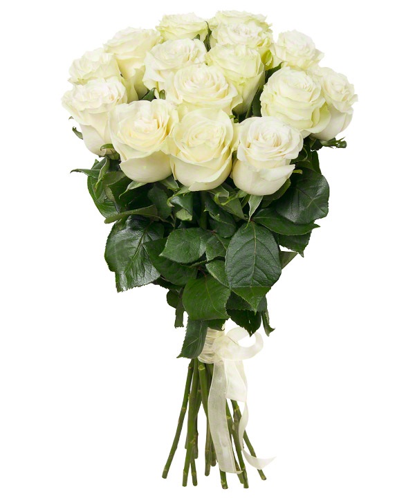 Klasika - Baltos rožės 60-70cm 1