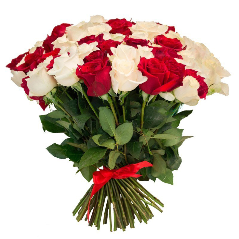 Raudonos ir baltos rožės 2